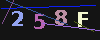 Gambar captcha